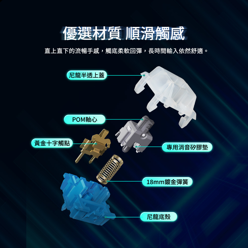 MX2A軸體罐 RGB 5P (極光軸)
